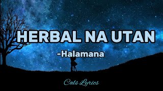 HERBAL NA UTAN  Rudy Tagsip of Halamana Lyrics [upl. by Leiru258]