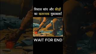 Movie Explained In Hindi Shorts movieexplainedinhindi movies [upl. by Kettie]