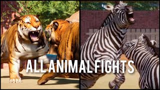 Planet Zoo 115 ALL ANIMAL FIGHTS [upl. by Okomom]