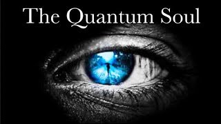 What is CONSCIOUSNESS The Case for the Quantum Soul [upl. by Runkle]