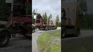 Nice Scania cool sweden truck truckspotting scaniapower shortvideo honk [upl. by Annorah]