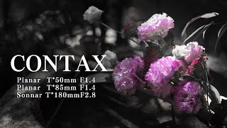 【CONTAX Carl Zeiss】Planar T50mm F14  Planar T85mm F14  Sonnar T180mm F28  sample footage [upl. by Zirtaeb]