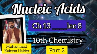 Ribonucleic Acid Class 10  10th chemistry ch 13 lec 8  urdu hindi  Nucleic Acids [upl. by Noel161]