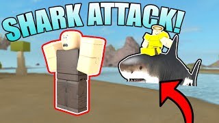 SHARK ATTACK  ROBLOX Booga Booga [upl. by Ylliw]