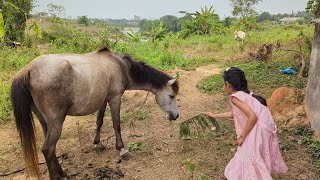 Eid day vlog My Family Vlog Video  Viral Vlog Video  Bangladeshi Vlog [upl. by Elgar]