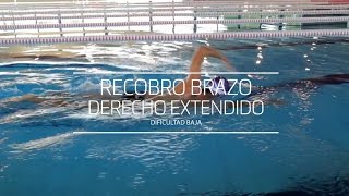 Técnica de Natación Recobro con Brazo Extendido [upl. by Eelynnhoj56]