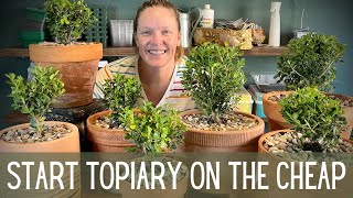 How To Start Topiary On The Cheap 🌲🌲  Topiary Basics  How To Make A Topiary  Topiary Tutorial [upl. by Manuela390]