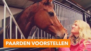 Paarden voorstellen  PaardenpraatTV [upl. by Deehsar]