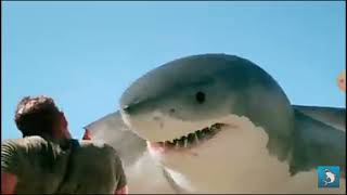 6Headed Shark Attack Music Video Skillet Feel Invincible [upl. by Aray941]