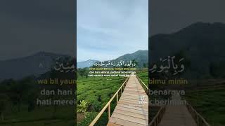 murotal quran merdu yang lagi viral [upl. by Tnarb]