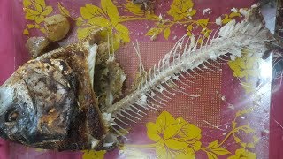 baked fish by ebampec II fish by ebampec II How to Make Easy Baked Fish Fillets II [upl. by Aicatsan103]