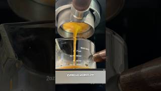 Espresso Workflow homebarista pov delonghi coffee asmr aesthetic viralvideo shorts nyc usa [upl. by Negris]