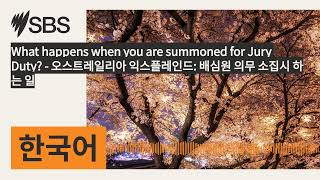 What happens when you are summoned for Jury Duty  오스트레일리아 익스플레인드 배심원 의무 소집시 하는 일  SBS Korean [upl. by Nallij465]