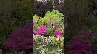 Monet’s Garden Giverny France [upl. by Windzer]