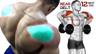 12 BEST REAR DELTOID EXERCISES WITH DUMBBELLS ONLY AY HOME OR AT GYM [upl. by Rana]