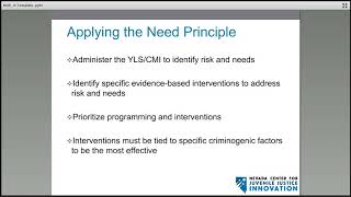 Using Risk Need Responsivity Principles to Improve Youth Outcomes [upl. by Euqinu886]