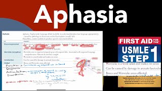 Aphasia Brocas Wernickes Condection amp global aphasia in HindiUrdu by first aid forUSMLE step1 [upl. by Ellehsyt]