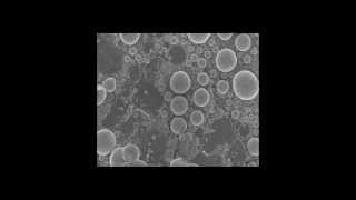 Footage from a scanning electron microscope [upl. by Nicki]