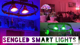 Sengled SMART LIGHTBULB Setup  ALEXA Auto Pairing smarthome [upl. by Levana]