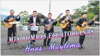 Hnos Muylema  Mix Bombas🎸🇪🇨 El Carpuela Sabor a miel [upl. by Micro]