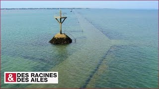 Le passage du Gois [upl. by Ahseena]