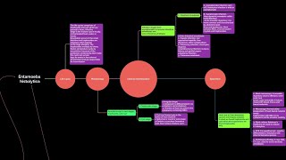 parasitology 3 Entamoeba histolytica طفيليات [upl. by Aneehsyt147]