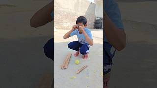 Cricket bat Tod Diya 🤪 shorts [upl. by Damalas847]