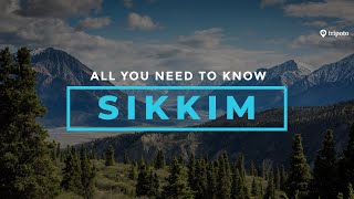 Complete Sikkim Travel Guide Places To Visit In Sikkim Things To Do In Sikkim  Tripoto [upl. by Ehcar]