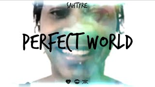 Sahtyre  Perfect World A Social Commentary Piece [upl. by Nikolaus]