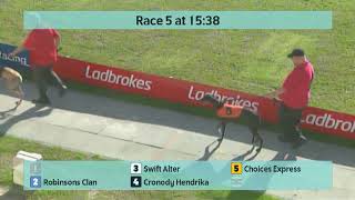 Crayford Greyhounds Races on 28th September 2024 [upl. by Herwin]