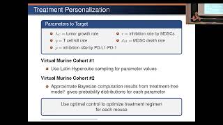 Optimal control of combination immunotherapy for a virtual murine cohort in a glioblastomaimmune [upl. by Nibram]