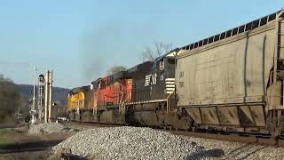 NS 174 mixed freight by N Rockwood main to main 33024 UP amp BNSF power in lash up [upl. by Sieber]