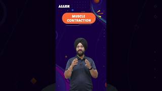 What is Muscle Contraction and how it works  Important for NEET 2024  ALLENNEET shorts [upl. by Previdi]