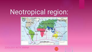 Neotropical region  Zoological characteristics and physical features of neotropical region [upl. by Christyna]