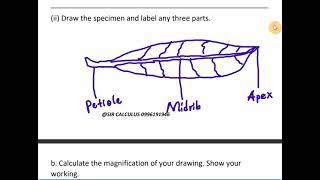 MSCE BIOLOGY PAPER II  EXAMINATION COACHING WhatsApp or call 0996191946 [upl. by Evander]