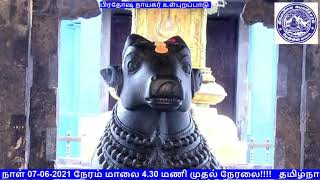 KAPALEESWARAR TEMPLE PRADOSHAM LIVE  MYLAPORE Pradosham Liveஅருள்மிகு கபாலீஸ்வரர் திருக்கோயில் [upl. by Innos]