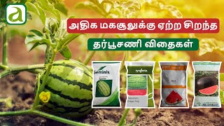 Top 6 Watermelon hybrid seeds  அதிக மகசூலுக்கு ஏற்ற சிறந்த தர்பூசணி விதைகள்  watermelonseeds [upl. by Socha27]