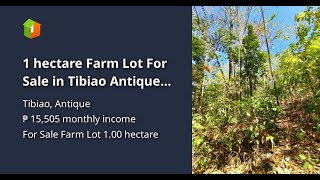 1 hectare Farm Lot For Sale in Tibiao Antique with overlooking view [upl. by Avid]