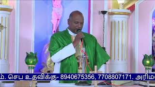 14th Sunday Mass July 2024  Arimalam Shrine Live [upl. by Brittani]