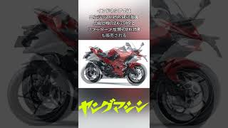 カワサキ「ニンジャZX25RR」「ニンジャ250 SE」の2025年モデルが登場！ 新KRTカラーほか新色【海外】バイク kawasaki ninja [upl. by Nebeur]