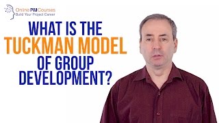 What is the Tuckman Model of Group Development PM in Under 5 [upl. by Gatian118]