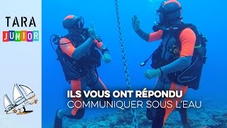 Tara Junior Comment communiquer en plongée sous leau [upl. by Ahseniuq996]