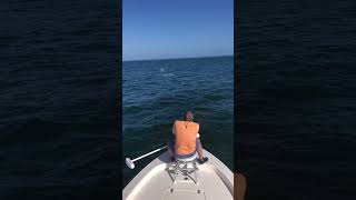 Boca Grande tarpon fishing [upl. by Notsirt]