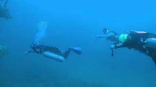 Bataan Nuclear Power Plant Penetration Dive [upl. by Nyrhtac]