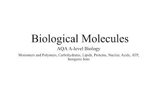 MONOMERS AND POLYMERS AQA ALevel Biology amp Exam Style Question [upl. by Gnehc505]