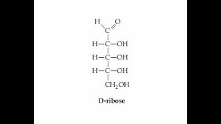 Number of Chiral centers and Stereoisomers Derieved from Dribose [upl. by Farwell]