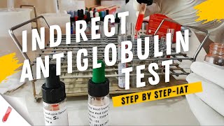 Indirect Coombs Test Procedure  Indirect Antiglobulin Test IATStep by Step [upl. by Yrffoeg310]