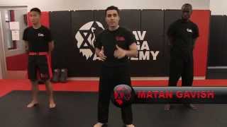 Krav Maga First Steps [upl. by Akceber129]