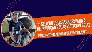 Seleção de Garanhões para a Reprodução e suas Biotecnologias [upl. by Gibe]