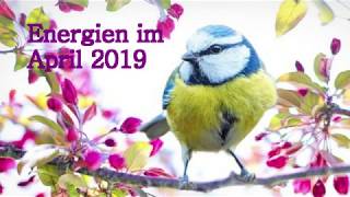 Energien April 2019  Portaltage mit Voll und Neumond  Zeitqualität Neue Wege  bekannte Ziele🦋 [upl. by Alicirp]